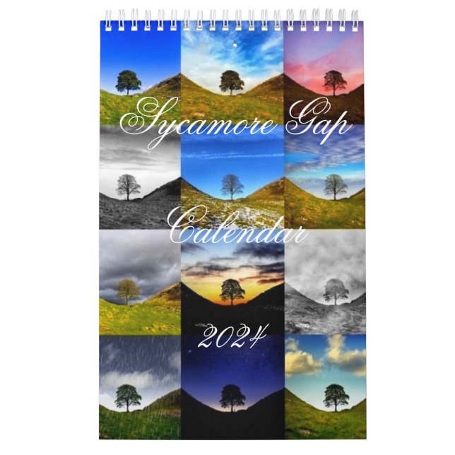 Calendário Pequeno de Página de solteiro, Branco (Capa)