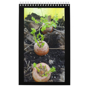 Calendário Pequeno de Página de Solteiro do Jardin