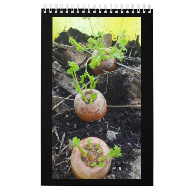 Calendário Pequeno de Página de Solteiro do Jardin (Verso)