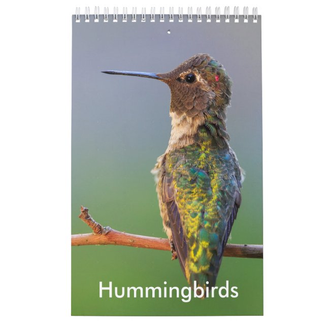 Calendário pequeno do colibri (Capa)