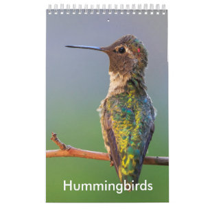 Calendário pequeno do colibri