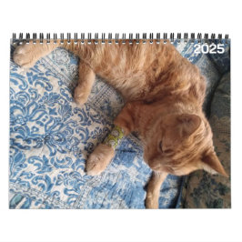 Calendário Personalizado Bazz 12 Meses 2025