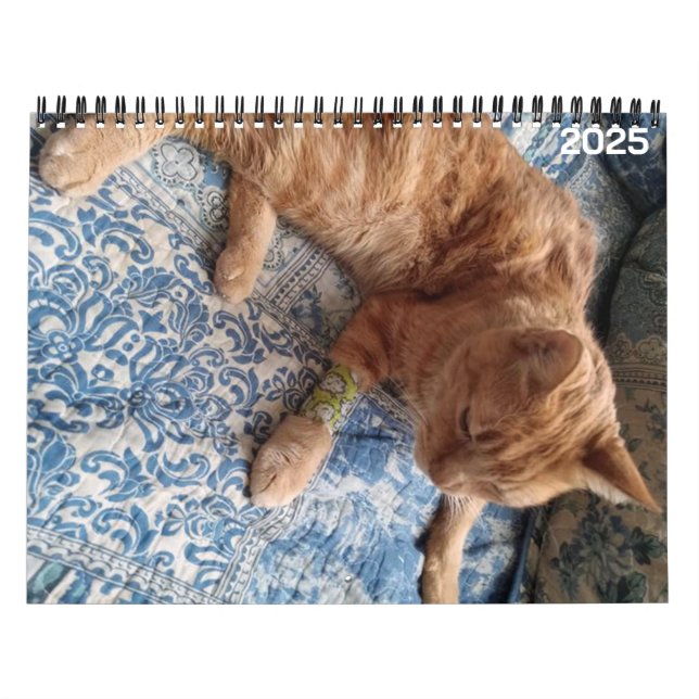 Calendário Personalizado Bazz 12 Meses 2025 (Capa)