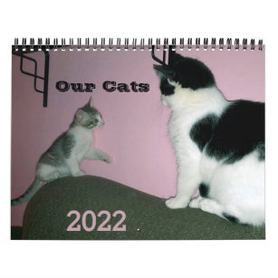 Calendário Personalizado Cats 2022