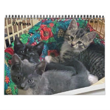 Calendário Personalizado de 12 Meses das Páginas P