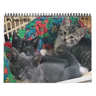 Calendário Personalizado de 12 Meses das Páginas P