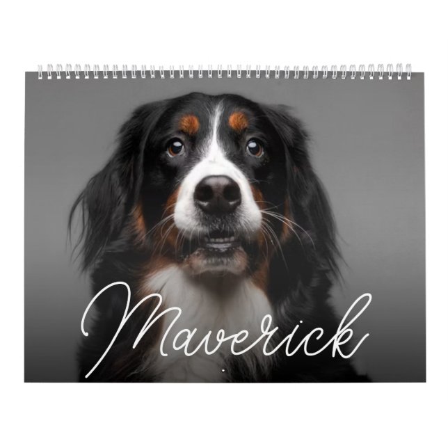 Calendário Personalizado de Cachorro em Letra Mode (Capa)