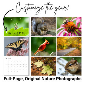 Calendário Personalizado de Fotografia da Vida Sel