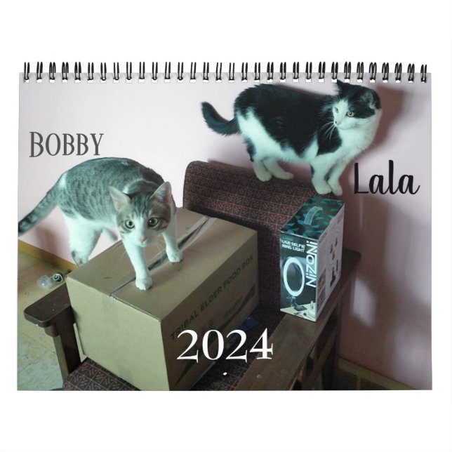 Calendário Personalizado de Gato Lala e Bobby 2024 (Capa)
