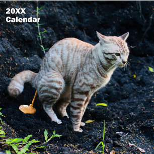 Calendário Personalizado de Gatos Fazendo Cocô Eng