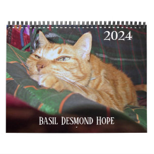 Calendário Personalizado de Ginger Ginger 2024