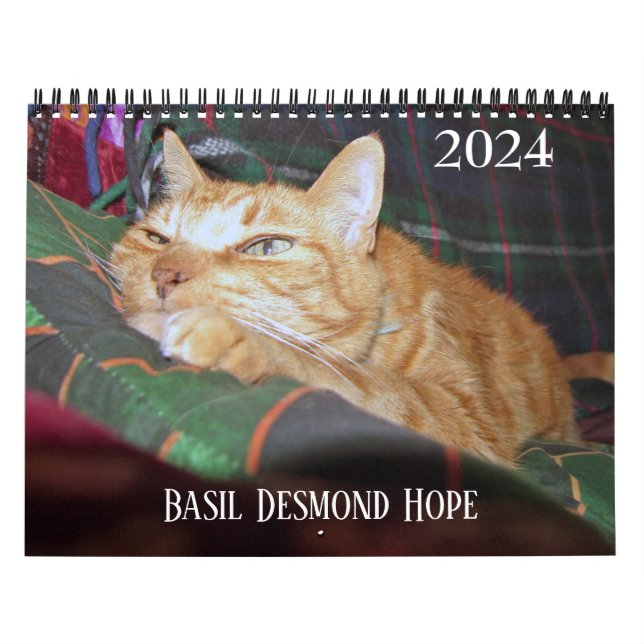 Calendário Personalizado de Ginger Ginger 2024 (Capa)