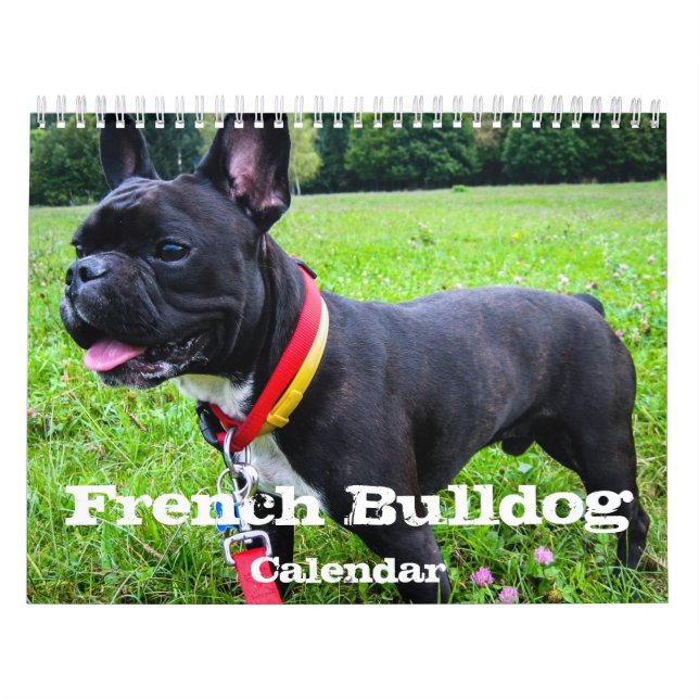 Calendário Personalizado do Bulldog Francês Adicio (Capa)
