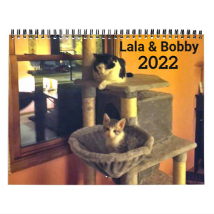 Calendário Personalizado dos Gatos Lala & Bobby 20
