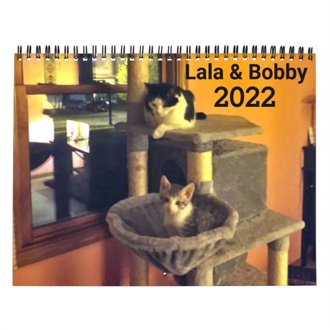 Calendário Personalizado dos Gatos Lala & Bobby 20 (Capa)