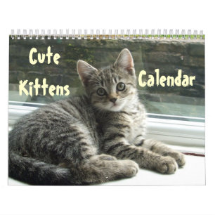 Calendário Pet Gatinho Gatinho Gatinho Bonito Amor Destino
