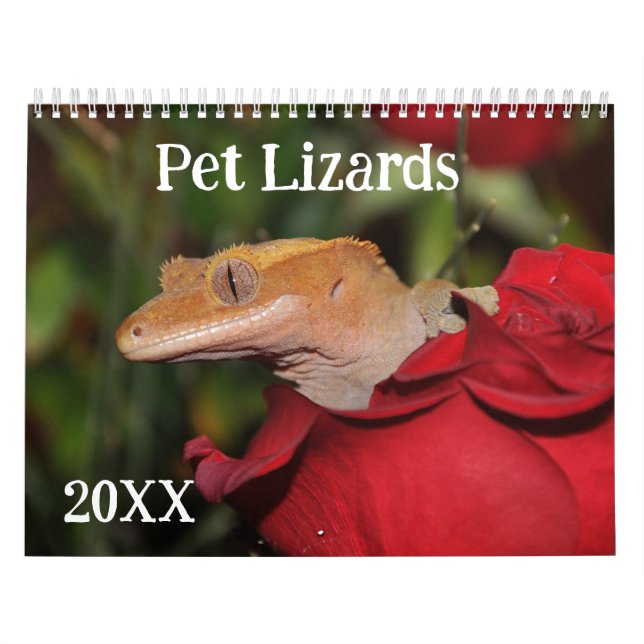 Calendário Pet Lizards (Capa)