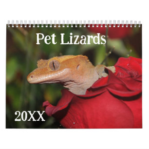 Calendário Pet Lizards
