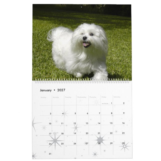 Calendário Pet Personalizado (Jan 2027)