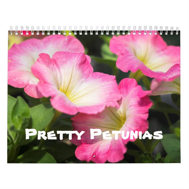 Calendário - Petunias Bonito (Capa)