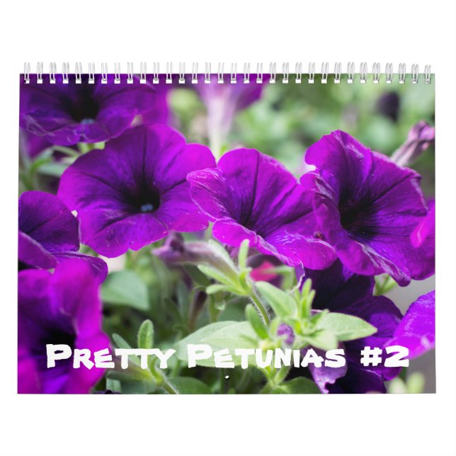 Calendário - Petunias Bonito #2 (Capa)