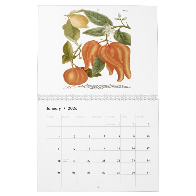 Calendário Phytanthoza Iconographia (Jan 2026)