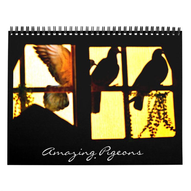 Calendário Pigeons incríveis (Capa)