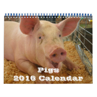 Calendário Pigs 2016