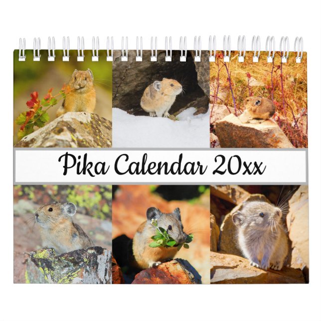 Calendário Pika (Capa)