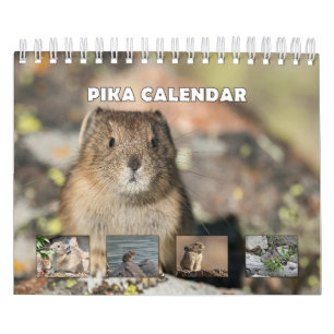 Calendário Pika