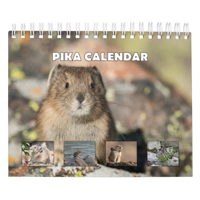 Calendário Pika (Capa)
