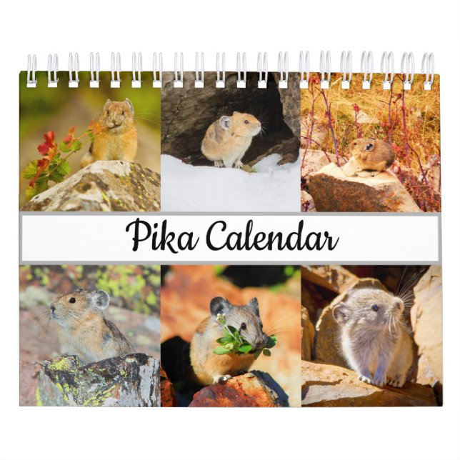 Calendário Pika (Capa)