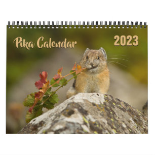 Calendário PIka 2023