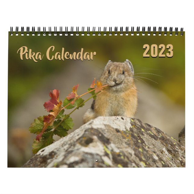 Calendário PIka 2023 (Capa)