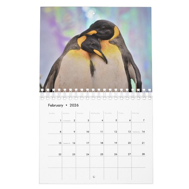 Calendário Pinguim (Fev 2026)