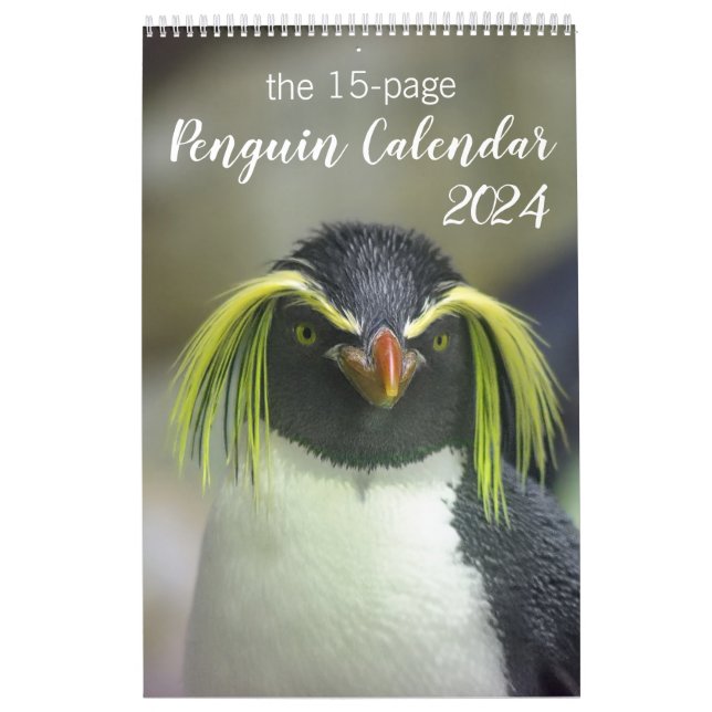 Calendário Pinguim de 15 Meses com Descrições 2024 (Capa)