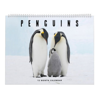 Calendário Pinguins