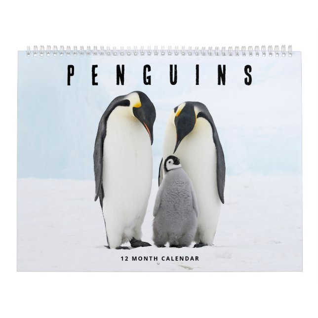 Calendário Pinguins (Capa)