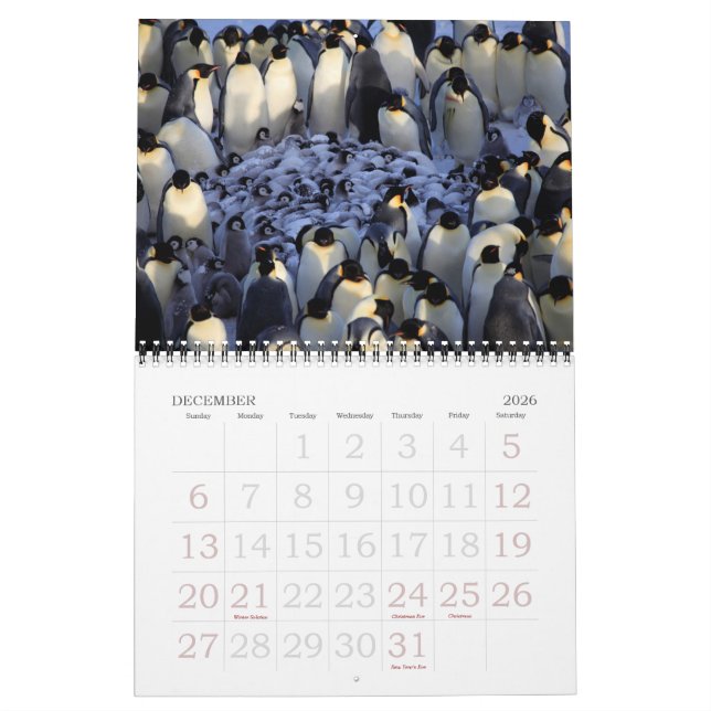 Calendário Pinguins (Dez 2026)