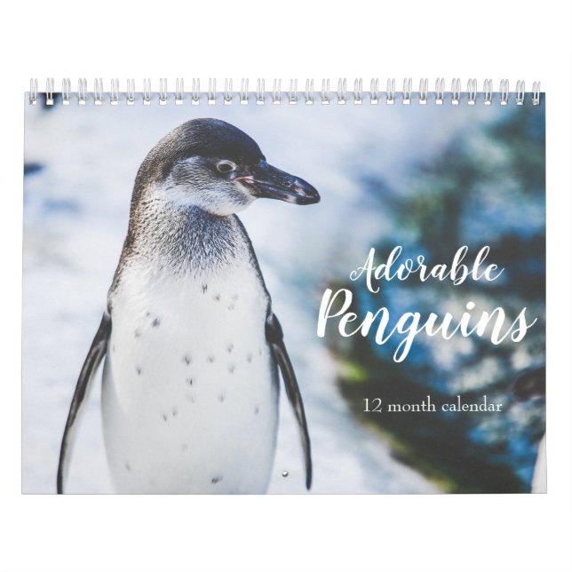 Calendário Pinguins Adoráveis 2026 (Capa)