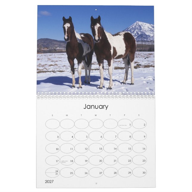 Calendário Pinte o cavalo (Jan 2027)