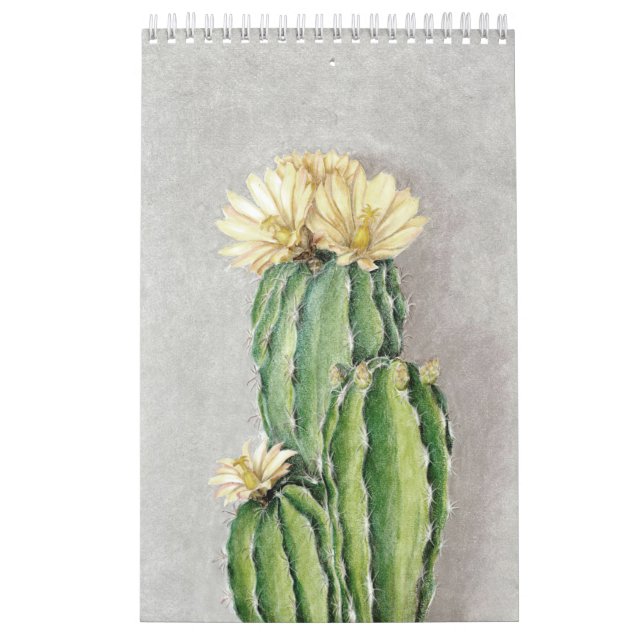 Calendário Pintura da Flor Cactus (Capa)