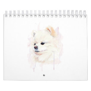 Calendário Pintura em Aquarela de Cachorro Pomerânia Fofa
