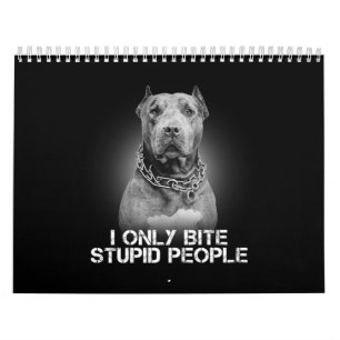 Calendário Pitbull Dog
