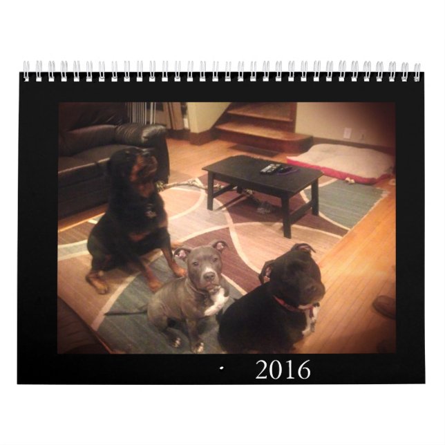 Calendário Pitbull e amor de Rottweiler (Capa)