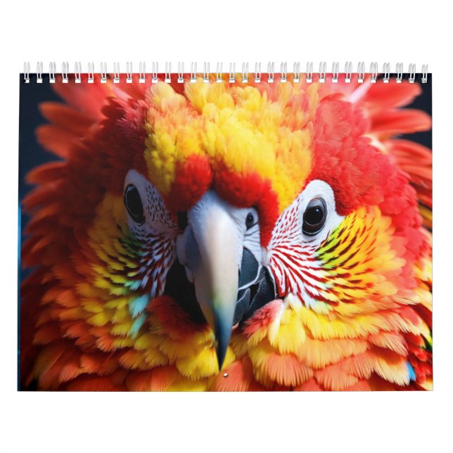 Calendário "Planeje Seu Ano À Frente: Apresentando Nosso Cale (Capa)