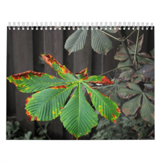 Calendário Plantas
