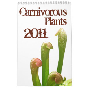 Calendário Plantas Carnívoras