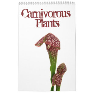 Calendário Plantas Carnívoras