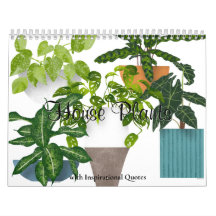 Plantas De Habitação